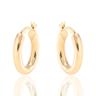 Argola Oval Oca Fio Redondo Em Ouro Amarelo