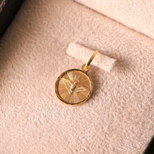 Pingente Placa Espírito Santo  Em Ouro Amarelo 