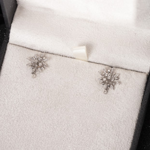 Brinco Chuveiro Flor Com Diamantes Em Ouro Branco