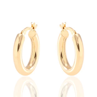 Argola Oval Oca Fio Redondo Em Ouro Amarelo