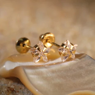 Brinco Estrela Cravejado Com Zircônias Em Ouro Amarelo