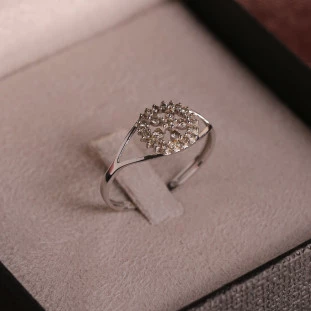 Anel Círculo Flor com Diamantes em Ouro Branco
