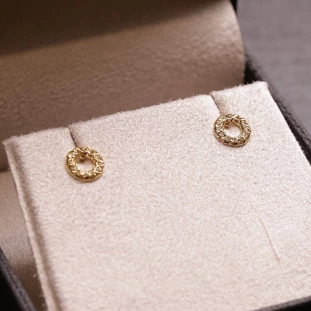 Brinco Circulo Diamantado Em Ouro Amarelo 