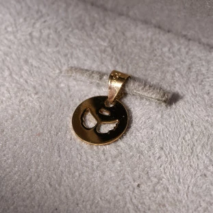 Pingente Placa Asinha Vazada Em Ouro Amarelo 
